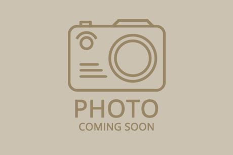 THE SHOPS AT BUTTONWOOD